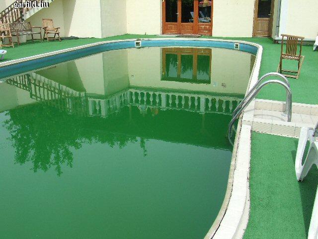 Béka a vízben Hotel Rubinia (Eger)